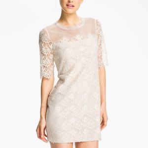 Max and Cleo Lace Dress 🦄